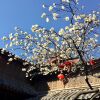 Отель Merry Inn Lijiang, фото 28