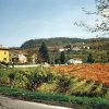 Отель Agriturismo Ca' Brusà в Монфорте-д'Альбе