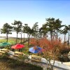 Отель Yeosu Pierre Mont Pension, фото 28