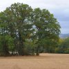 Отель Detached Bungalow With Terrace in a Wooded Area, фото 2