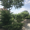 Отель Курорт Yamayka Beach, фото 40