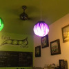 Отель PODs The Backpackers Home & Cafe, фото 29