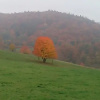 Отель Landgasthof Zur Schönen Aussicht Weiher, фото 11
