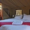 Отель Shindzela Tented Safari Camp, фото 12