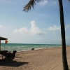 Отель Hollywood Beach Resort-one Bedroom Sleeps 6, фото 7