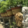 Отель Chengkanlinxigekezhan, фото 3