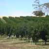 Отель Somercotes, фото 8