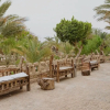 Отель Siwa Shali Resort, фото 23