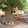 Отель Hotel-Restaurant Kastanienhof Lauingen, фото 3