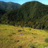 Отель Janardan Resort Churaini - Campsite, фото 9
