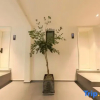 Отель Qingcheng Mountain Nanke Yimeng Private Tang Homestay, фото 2