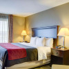Отель Comfort Inn & Suites Russellville I-40, фото 3