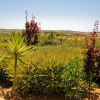 Отель AlmaVerde Village & Spa Resort, фото 16