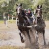 Отель Buitenplaats Erve Hulsbeek, фото 48