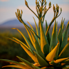 Отель Otjiwa Safari Lodge, фото 6