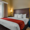 Отель Comfort Suites Sarasota - Siesta Key, фото 5