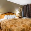 Отель Econo Lodge Inn & Suites, фото 28