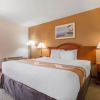 Отель Quality Inn & Suites Redwood Coast, фото 25