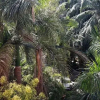 Отель Xishuang Banna Jinglan Inn New, фото 14