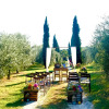 Отель Agriturismo Antica Dimora Del Turco, фото 5