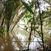 Отель Ben Tre Farm Stay, фото 25