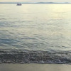 Отель Teo - 8m From the sea & Parking - A1 Žuti, фото 10