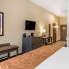 Отель Comfort Suites Northwest Houston at Beltway 8, фото 4