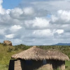 Отель Osiligilai Maasai Lodge, фото 42