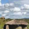 Отель Osiligilai Maasai Lodge, фото 47