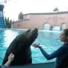 Гостиница Diamonds of the Black Sea Guest House, фото 25