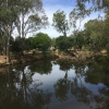 Отель BIG4 Wangaratta North Cedars Holiday Park, фото 8