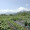 Отель Lodge Motoi, фото 4