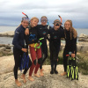 Отель Boulders Beach Hotel, Cafe and Curio, фото 23