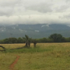 Отель Boschfontein Guest Farm, фото 1