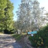 Отель Farmhouse in a Lovely Park Near Florence With Beautiful Pool Among Olive Trees, фото 23