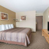 Отель Days Inn Glendive, фото 5