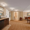 Отель Embassy Suites San Antonio Riverwalk-Downtown, фото 38