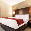 Отель Comfort Inn & Suites Streetsboro - Kent, фото 5