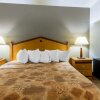 Отель Econo Lodge Inn & Suites, фото 32