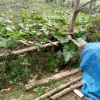 Отель Phong Nha Dawn Homestay, фото 16
