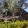 Отель Daberas Guest Farm, фото 5