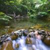 Отель Daintree Cascades, фото 10