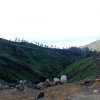 Отель Backpacker Kawah Ijen, фото 14