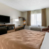 Отель Quality Inn, фото 4