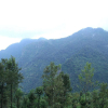 Отель Coonoor Mountain Cottages by Lexstays, фото 11