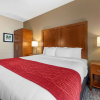 Отель Comfort Inn La Porte, фото 29