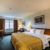 Отель Quality Inn & Suites, фото 5