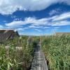 Отель Pfahlbau Seehütte am Neusiedlersee - Waterfront 2, фото 4