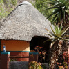 Отель Mashovhela Bush Lodge, фото 12