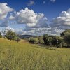 Отель Agriturismo Il Gelso Antico, фото 15